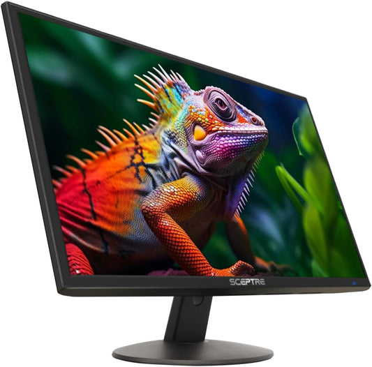 24-Inch Professional LED Monitor - Derry Store